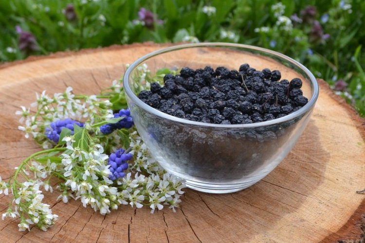 Dried Bird Cherries for Winter