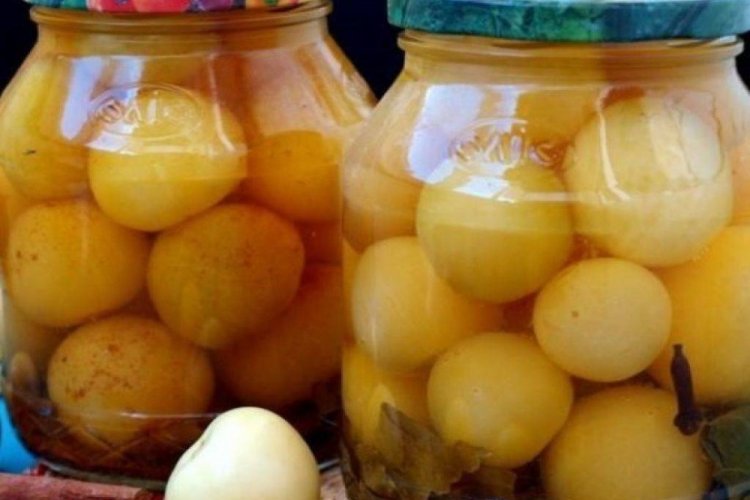 Spicy Physalis for Winter