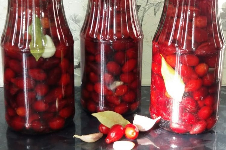 Cornejo encurtido con chile picante para el invierno