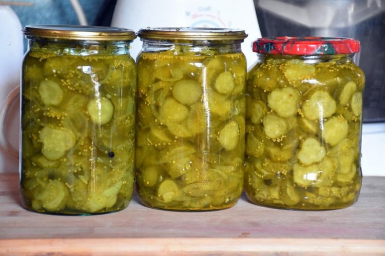 Cucumber Pickles with Turmeric