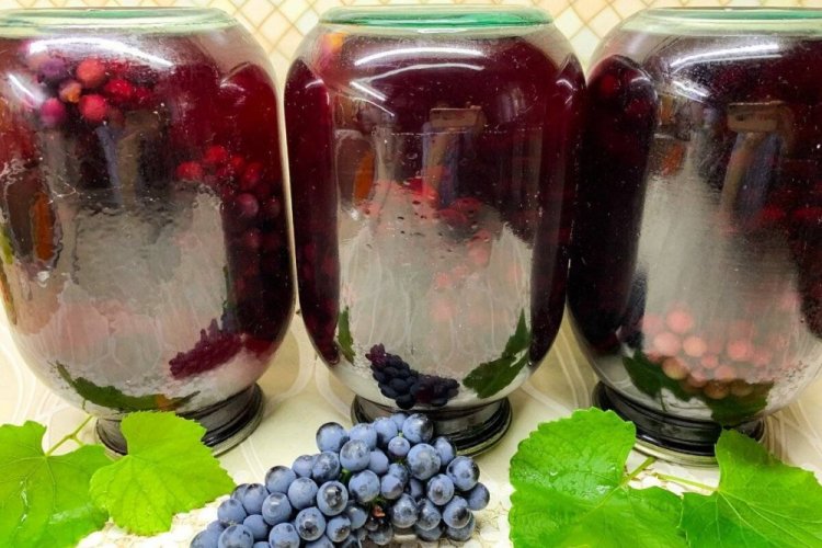 Isabella Grape Compote for Winter