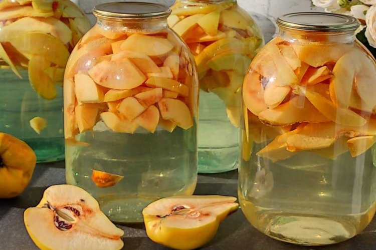 Quince Compote for Winter