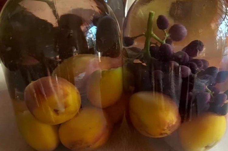 Nectarine and Grape Compote for Winter