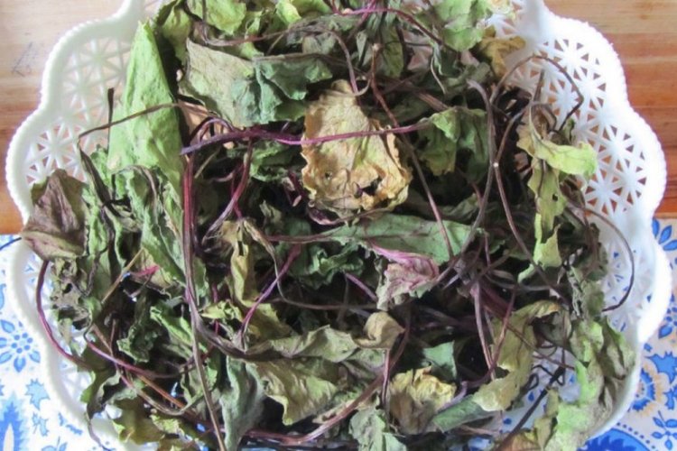 Hojas de remolacha secas para el invierno