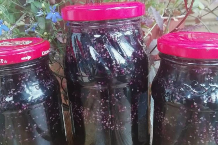Mermelada de solanáceas con cítricos