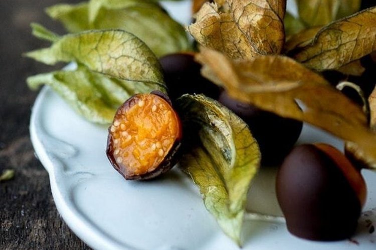 Physalis en chocolate