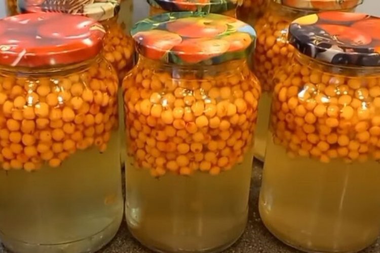 Sea Buckthorn Compote for Winter