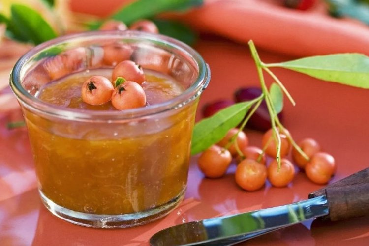 Hawthorn with Sea Buckthorn and Sugar for Winter