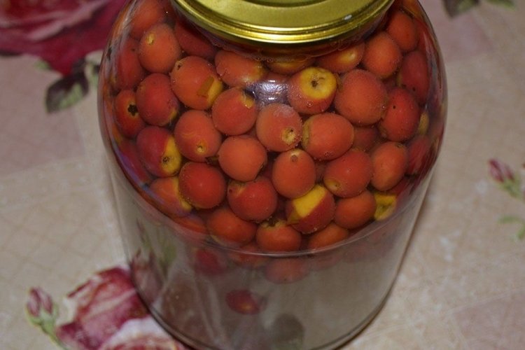 Hawthorn Compote for Winter