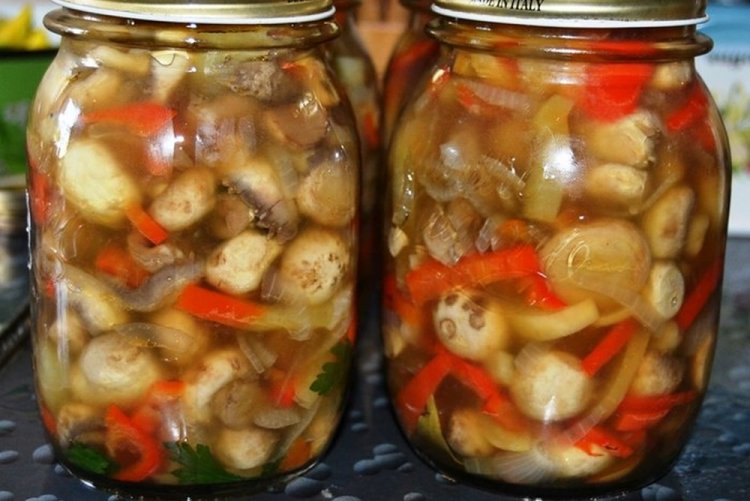Cucumbers with Champignons and Vegetables for Winter