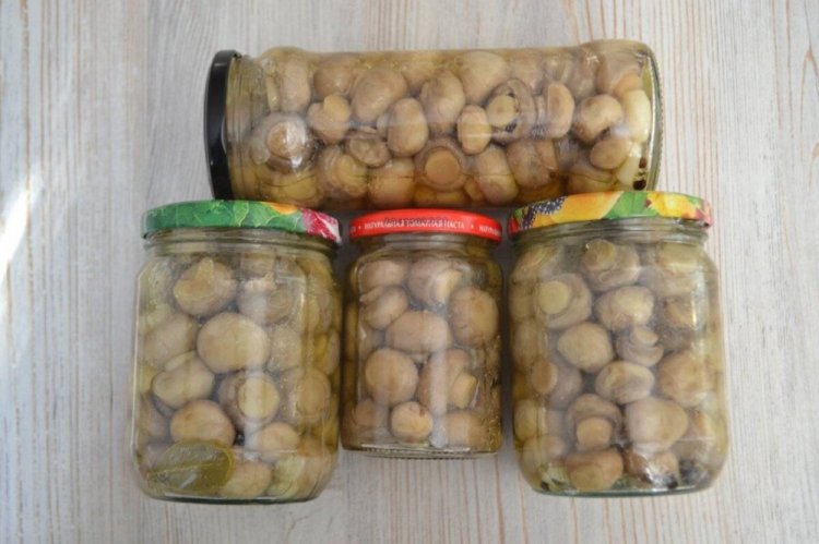 Champignons without Sterilization for Winter