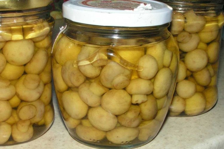 Champignons without Oil for Winter