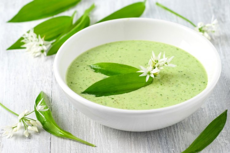 Wild Garlic and Potato Cream Soup