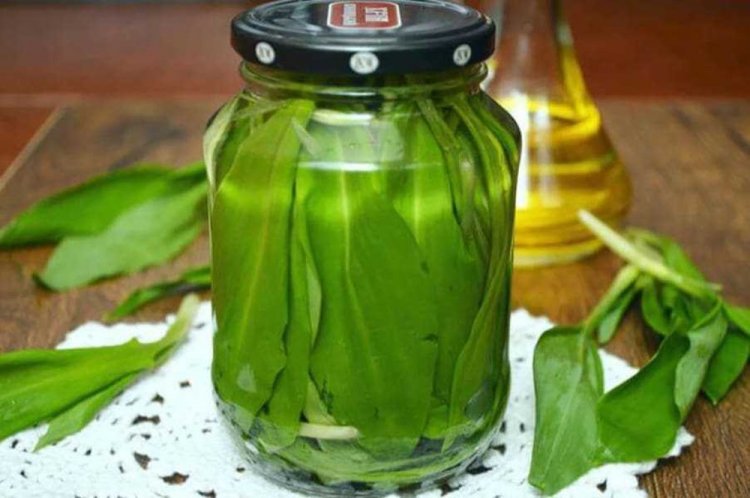 Pickled Wild Garlic for Winter