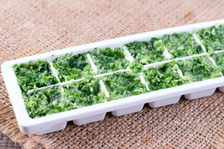Frozen Wild Garlic with Olive Oil for Winter