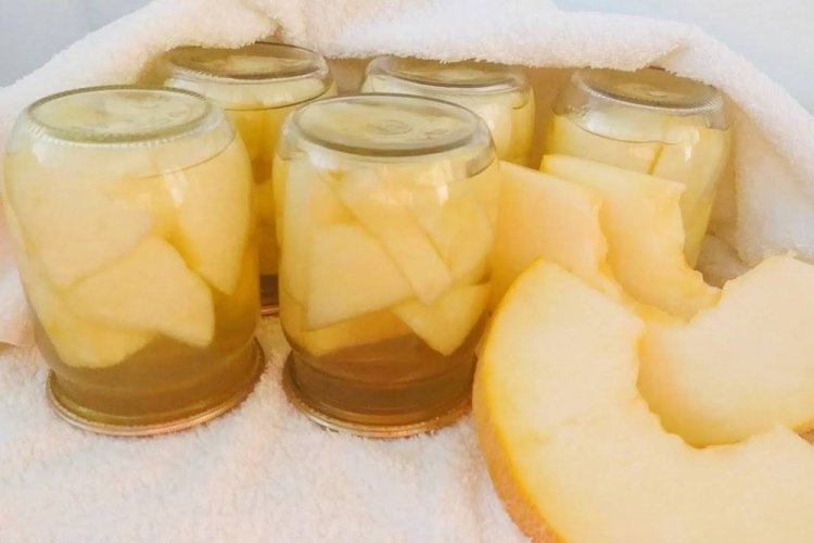 Melón como piña para el invierno