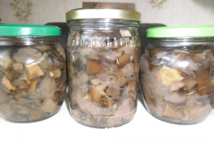 Fried Aspen Boletes for Winter