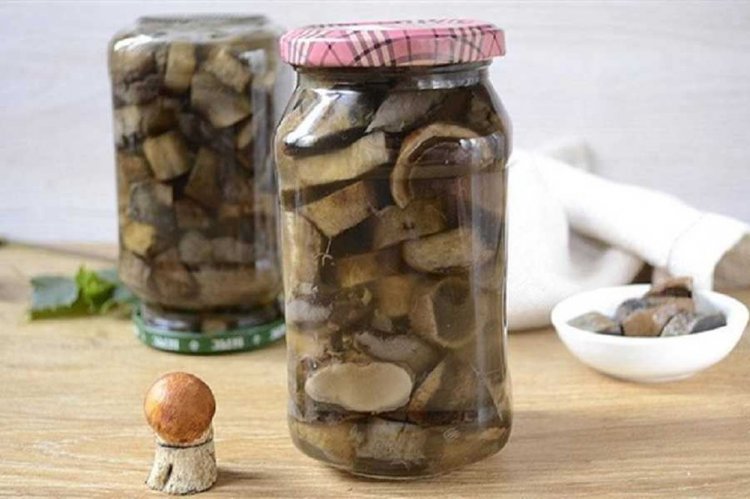 Marinated Aspen Boletes without Sterilization for Winter