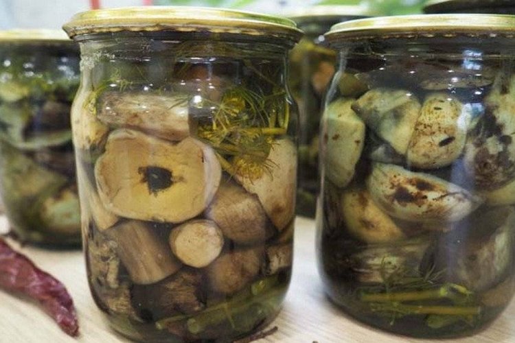 Salted Aspen Boletes for Winter