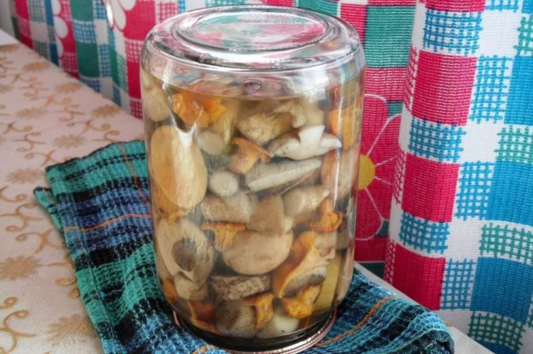 Aspen Boletes with Apple Cider Vinegar for Winter