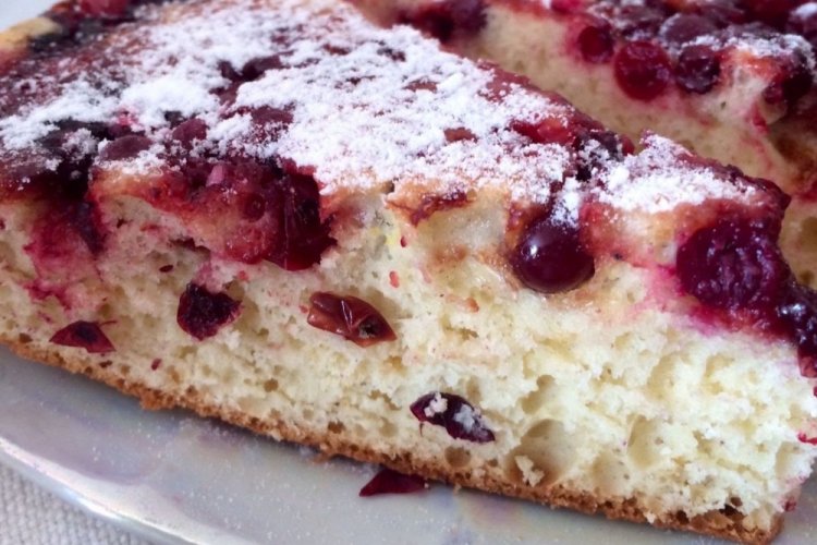 Cottage Cheese Cranberry Pie