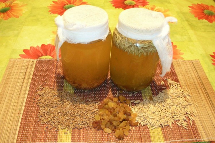 Kvas de avena con malta