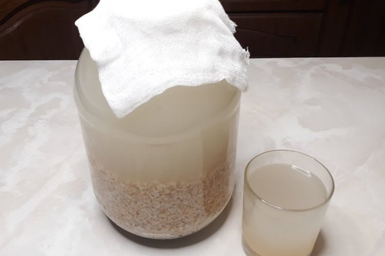 Kvas de avena sin azúcar