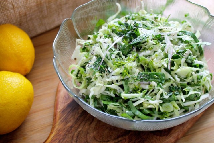Young Cabbage and Sorrel Salad