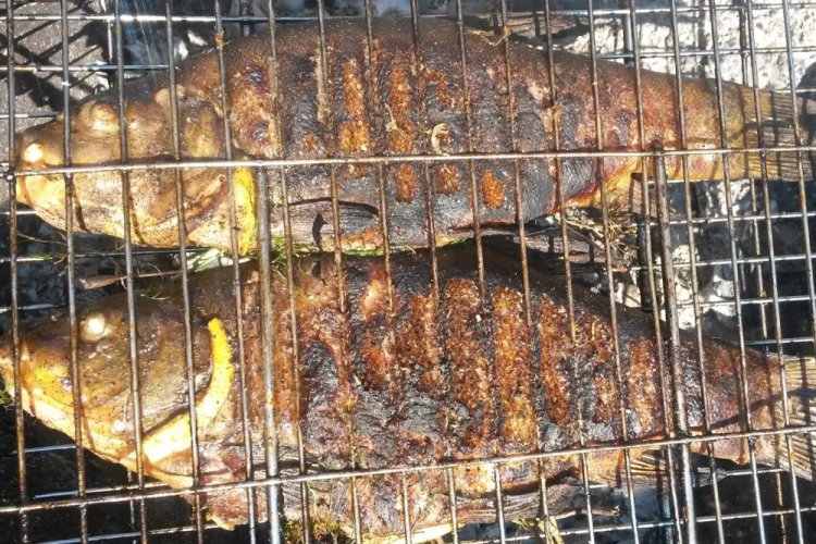 Tench with Onion and Cilantro on the Grill
