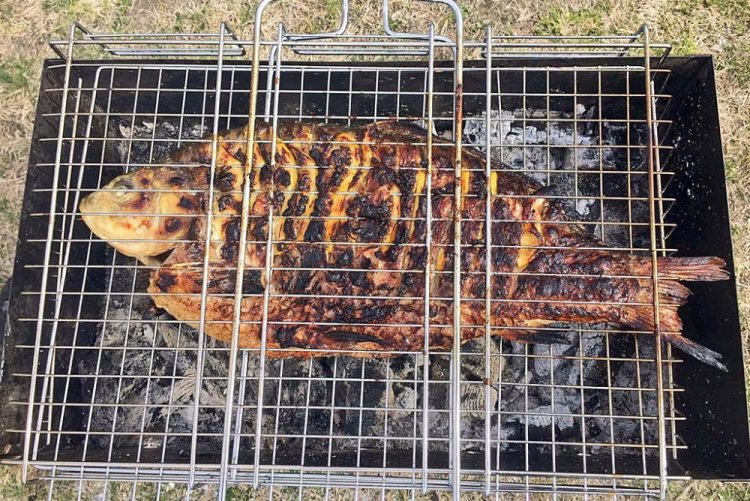 Tench with Soy Sauce on the Grill