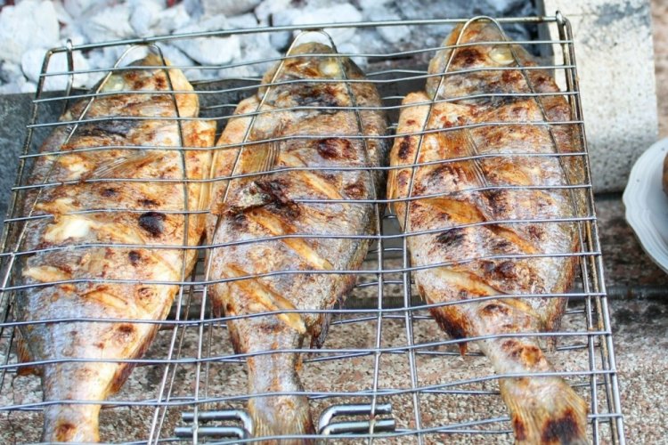 Tench with Sour Cream on the Grill