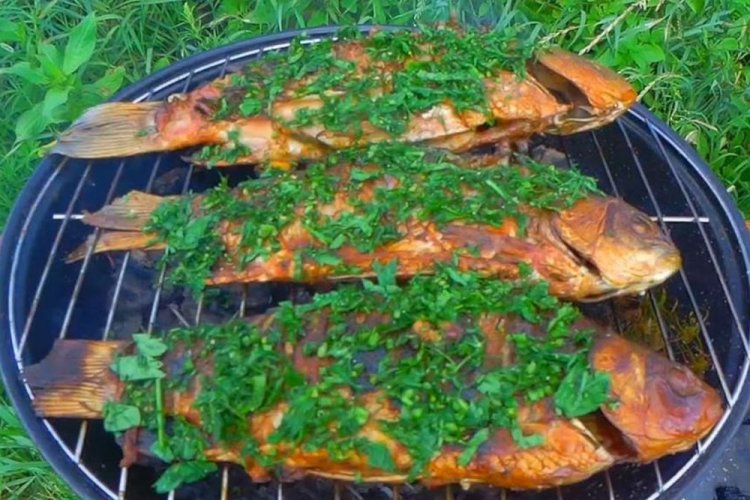 Tench in Tomato Marinade on the Grill