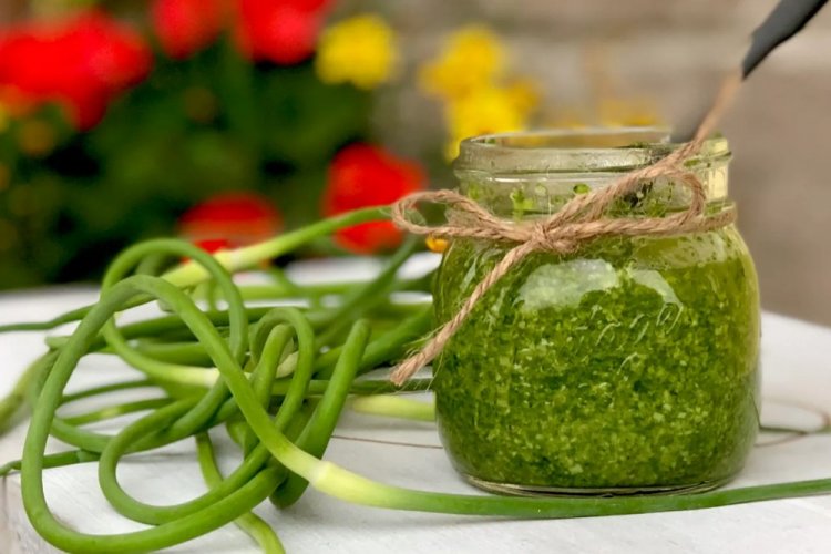 Garlic Scape Oil for Winter Storage