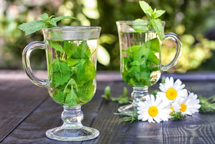 Té frío de menta y manzanilla