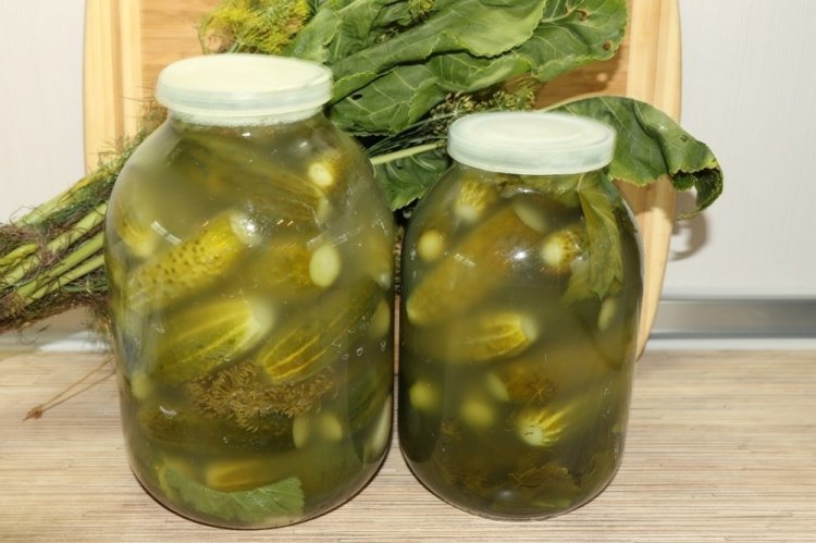 Cold Pickled Cucumbers in a Jar