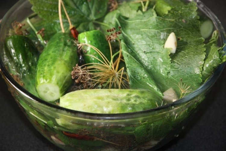 Cold Pickled Cucumbers with Horseradish Leaves