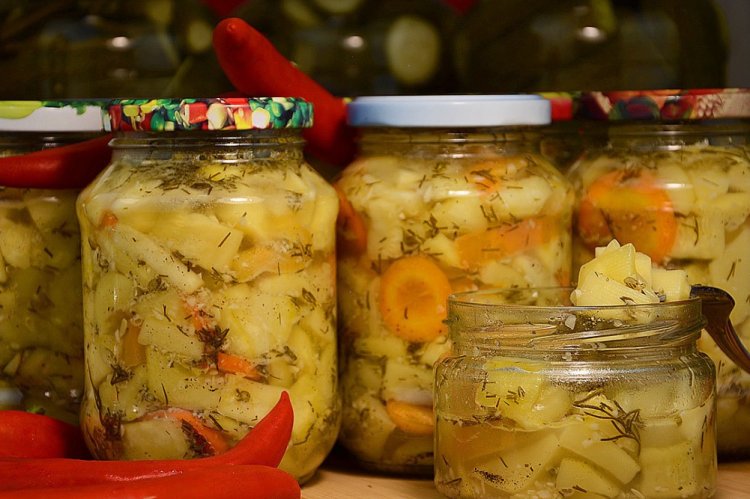 Zucchini like Milk Cap Mushrooms with Vegetables for Winter