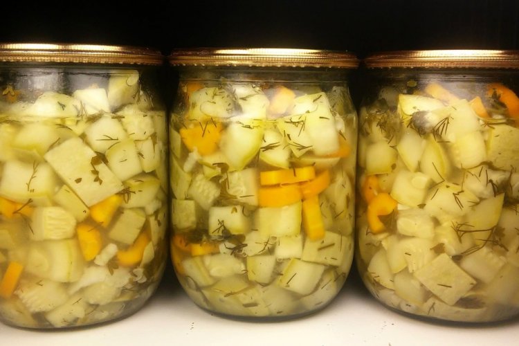 Pickled Zucchini like Milk Cap Mushrooms for Winter