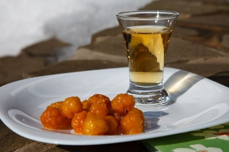 Cloudberry Infusion with Vodka