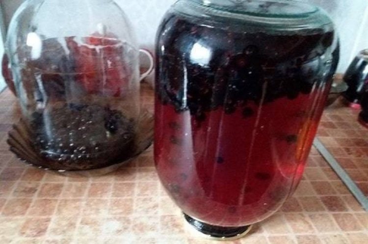 Blueberry Compote for Winter