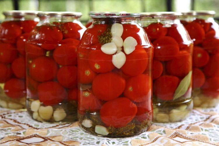 Tomatoes with Aspirin for Winter