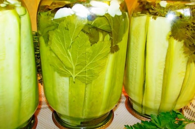 Pickled Zucchini without Vinegar for Winter