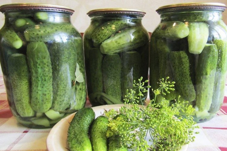 Cold-Brined Cucumbers Without Vinegar for Winter