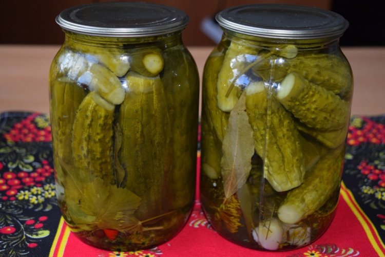 Classic Salted Cucumbers Without Vinegar for Winter