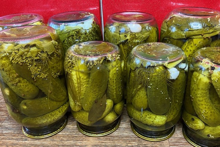 Cucumbers with Citric Acid Without Vinegar for Winter