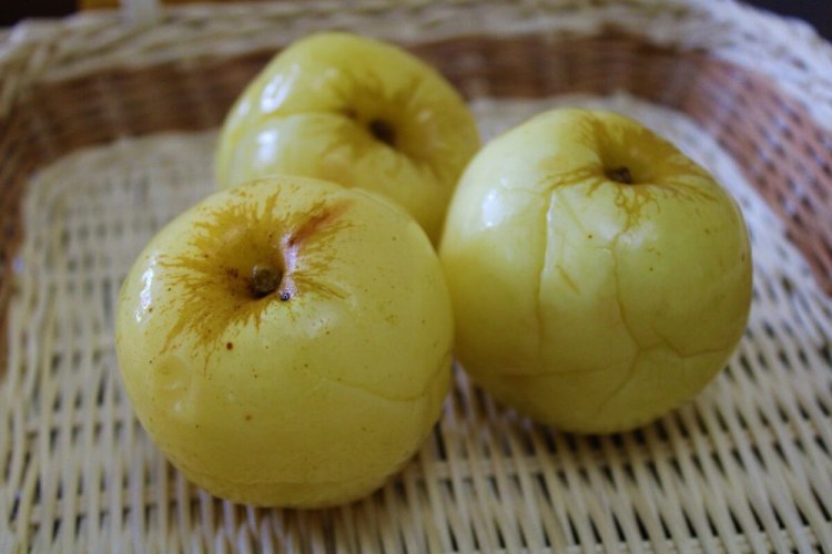 Soaked Apples in a Jar