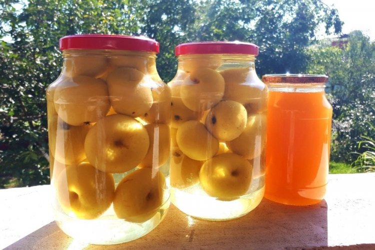 Apple Compote for Winter