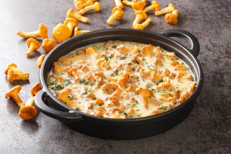 Cream Sauce with Dried Mushrooms