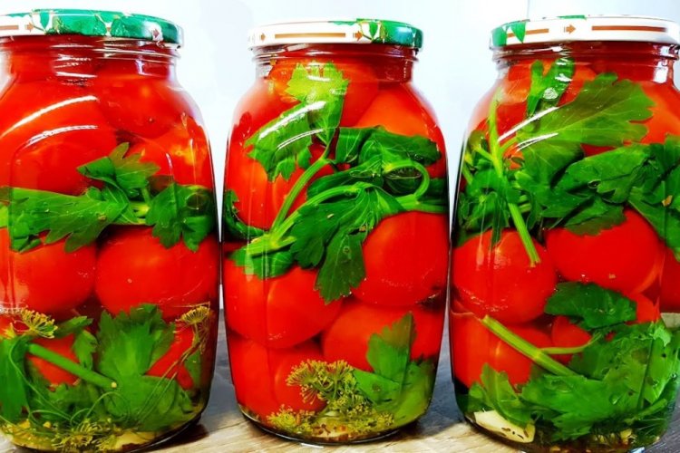 Tomatoes with Celery Leaves for Winter