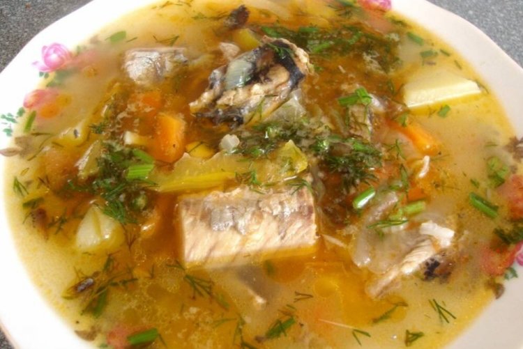 Shchi with Fish and Fresh Cabbage